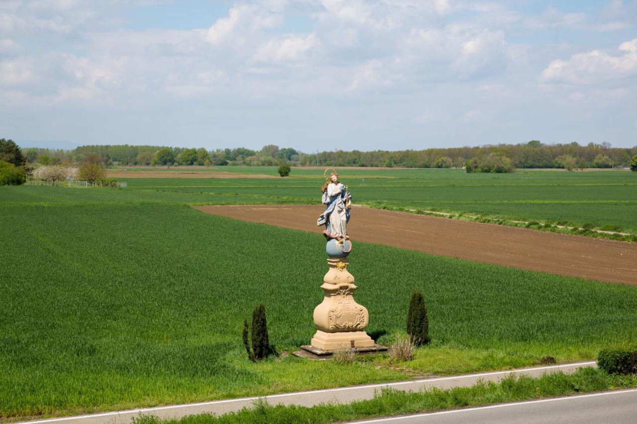 Schoener Wohnen Friesenheim (Baden-Wurttemberg) Exterior foto
