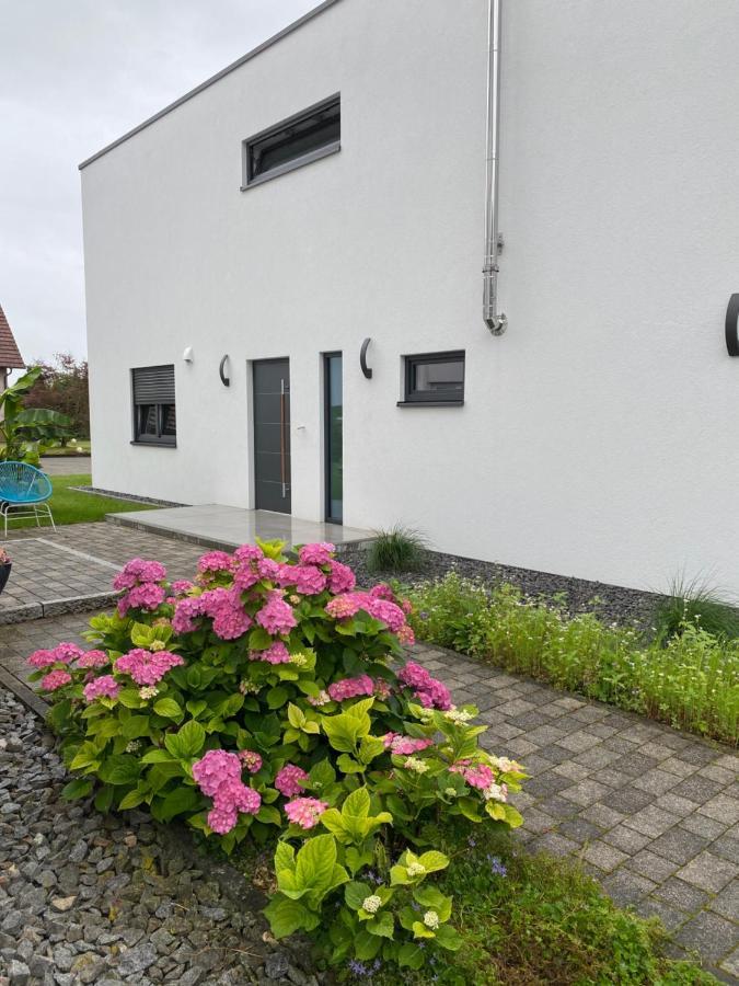 Schoener Wohnen Friesenheim (Baden-Wurttemberg) Exterior foto
